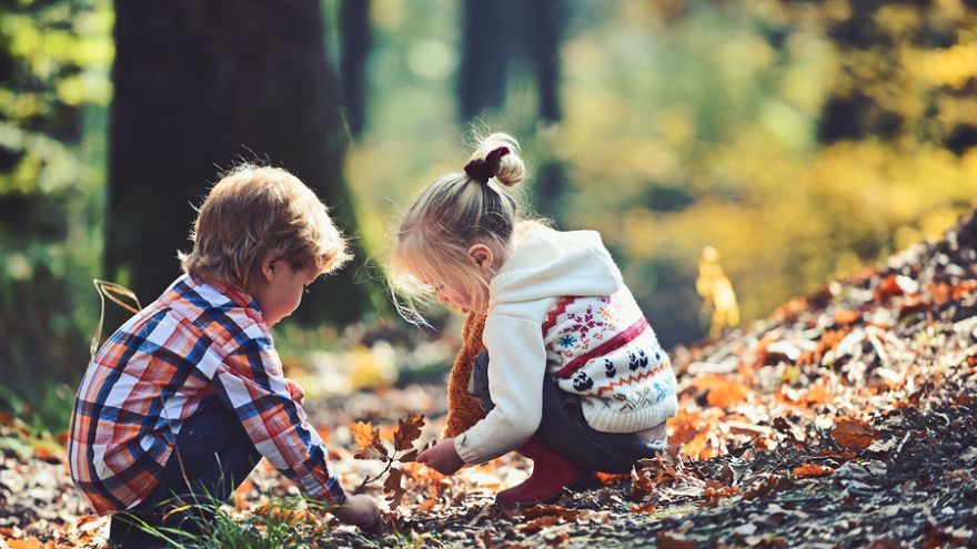 Využite jesenné  prechádzky s deťmi v lese aj na zbieranie farebných listov. 