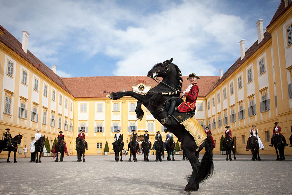 Slávnosť koní na zámku Schloss Hof