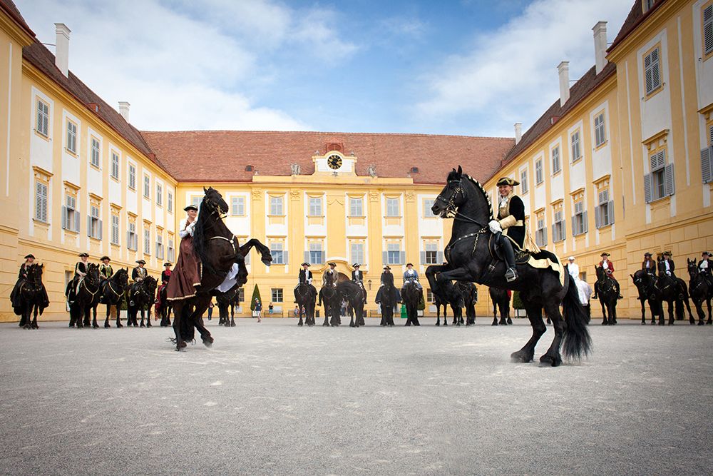 Schloss Hof  - slávnosť koní