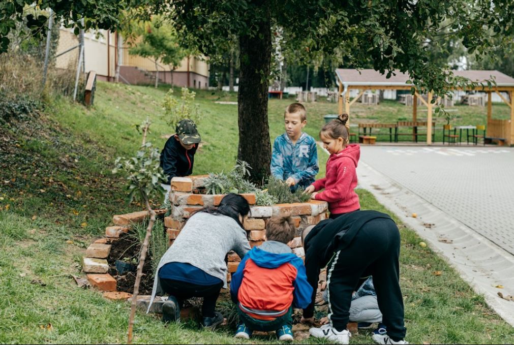 Záhrada v ZŠ v Čataji s bylinkovou špirálou.