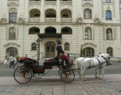 Univerzita veterinárneho lekárstva a farmácie v Košiciach