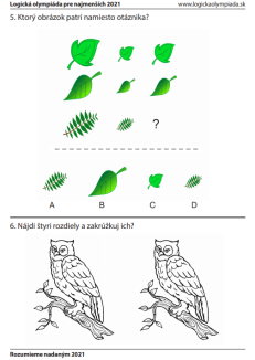 Logická olympiáda pre najmenších